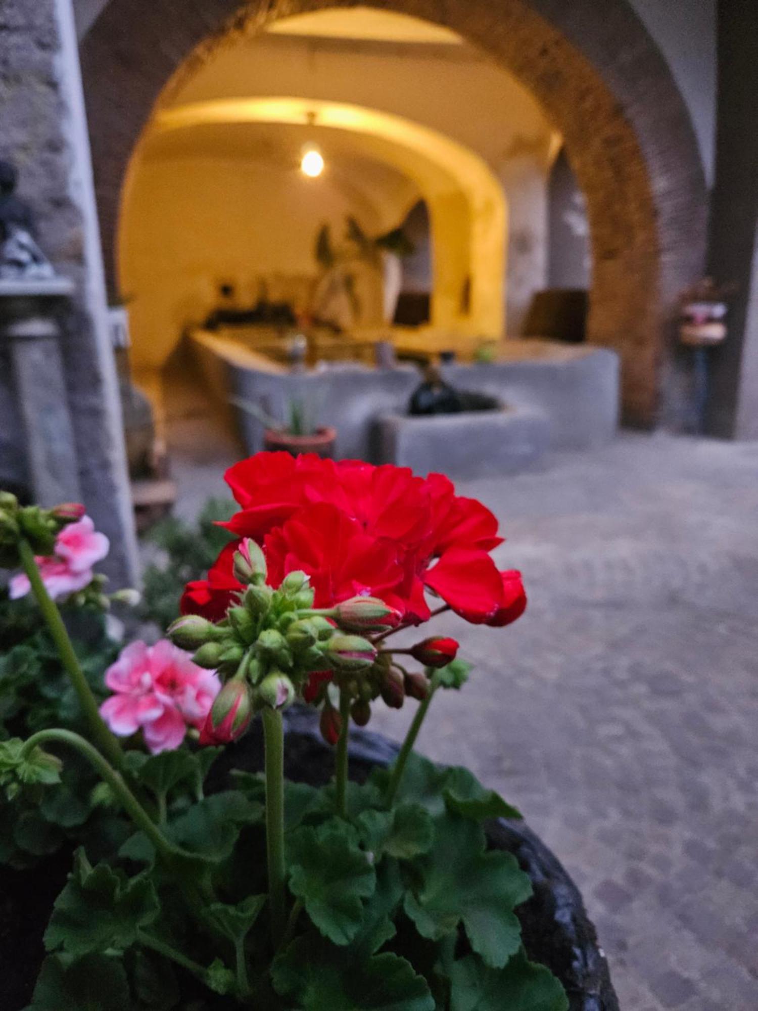 Rignano Flaminio L' Antico Lavatoio B&B 외부 사진