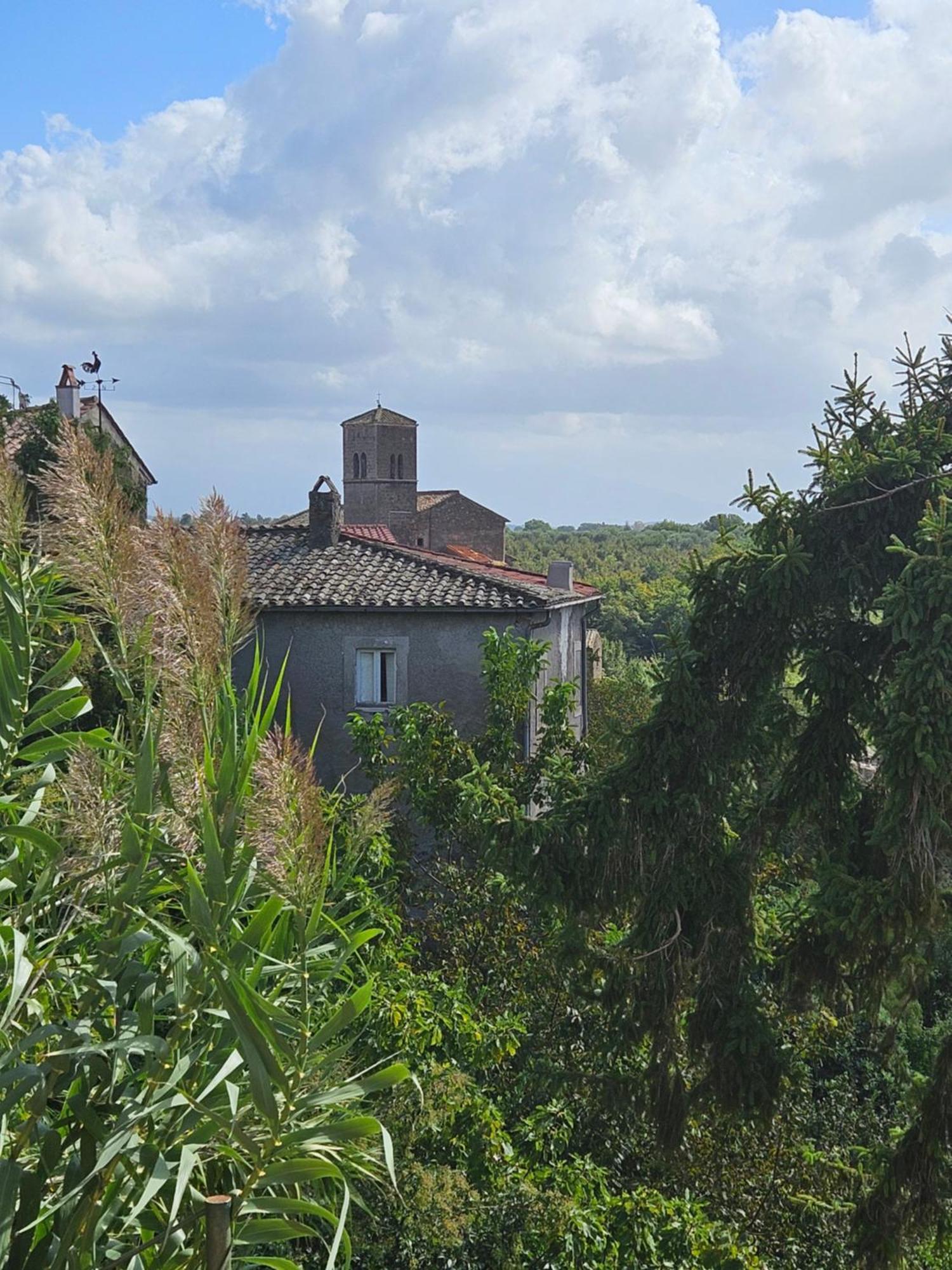 Rignano Flaminio L' Antico Lavatoio B&B 외부 사진