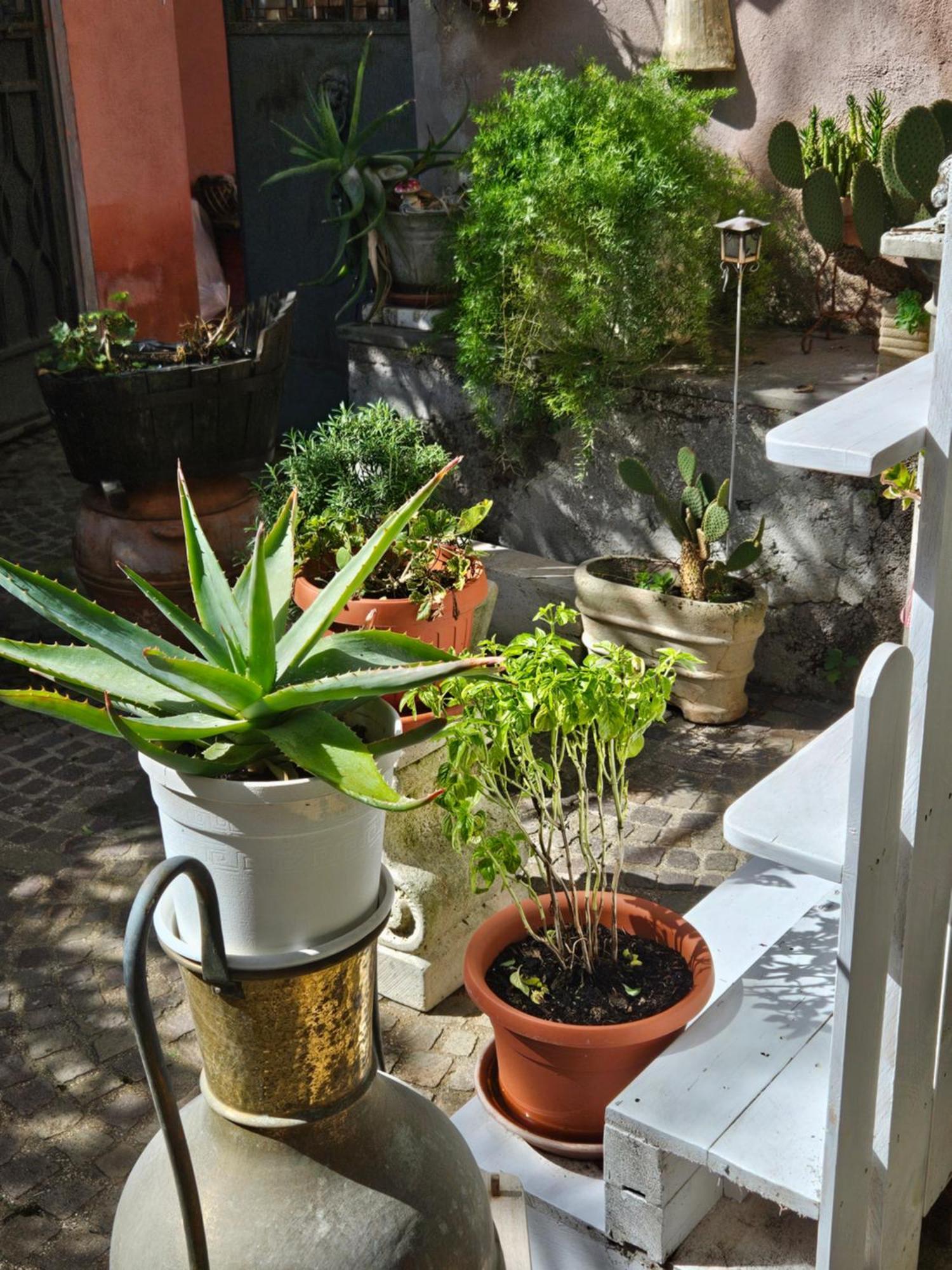 Rignano Flaminio L' Antico Lavatoio B&B 외부 사진