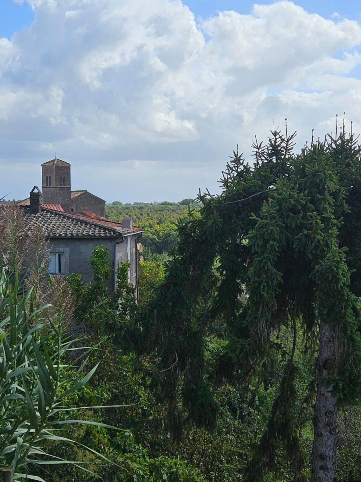 Rignano Flaminio L' Antico Lavatoio B&B 외부 사진